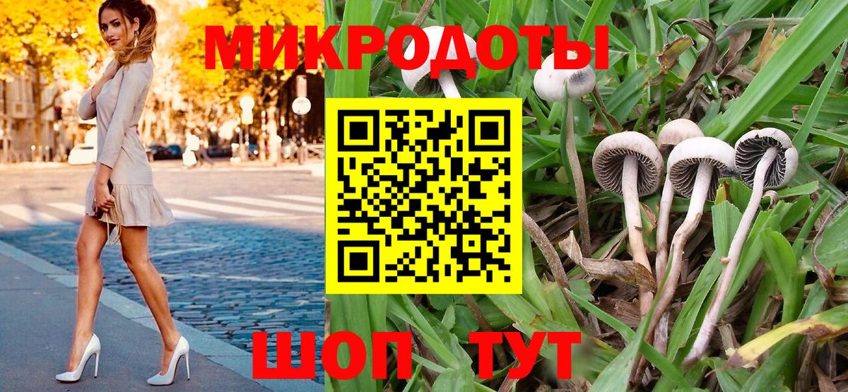 Казань  Галлюциногенные грибы GOLDEN TEACHER  Галлюциногенные грибы GOLDEN TEACHER  Вход с VPN 